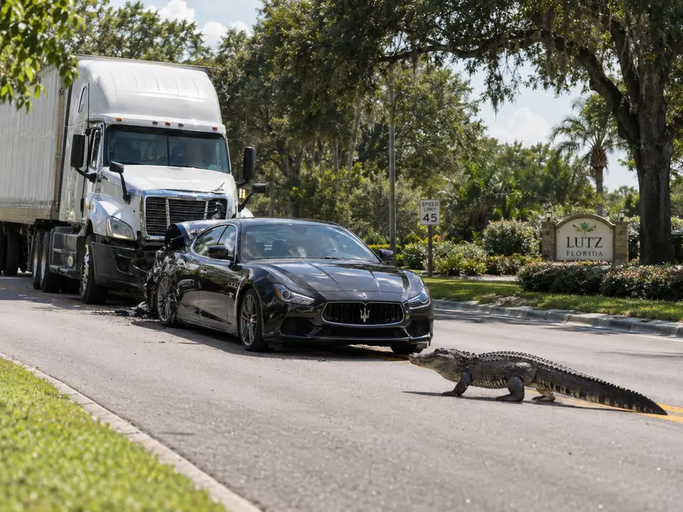 rear end accident liability rear end accident liability